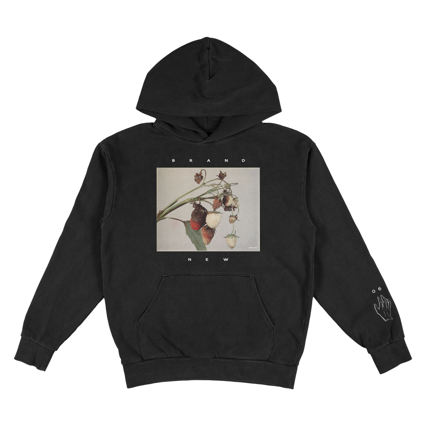 Brand New - Strawberry Vine Pullover Hoodie