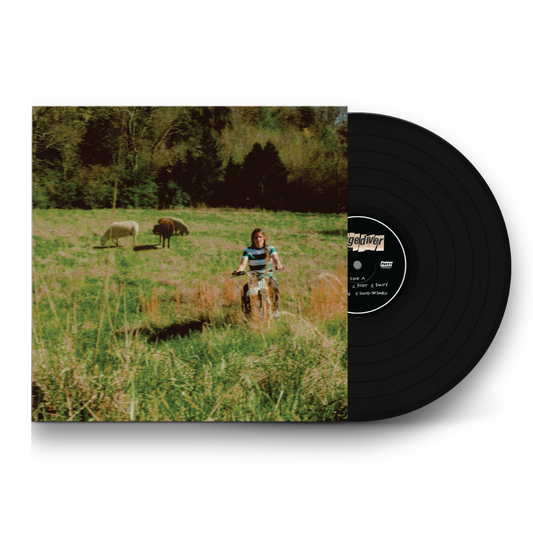 stagediver - stagediver