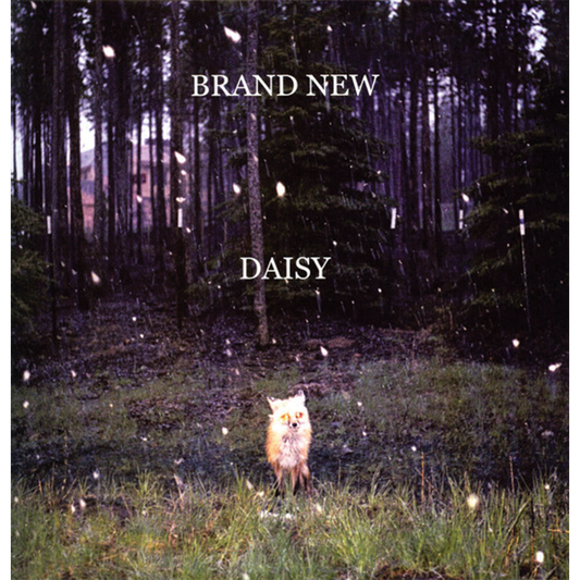 Brand New - Daisy