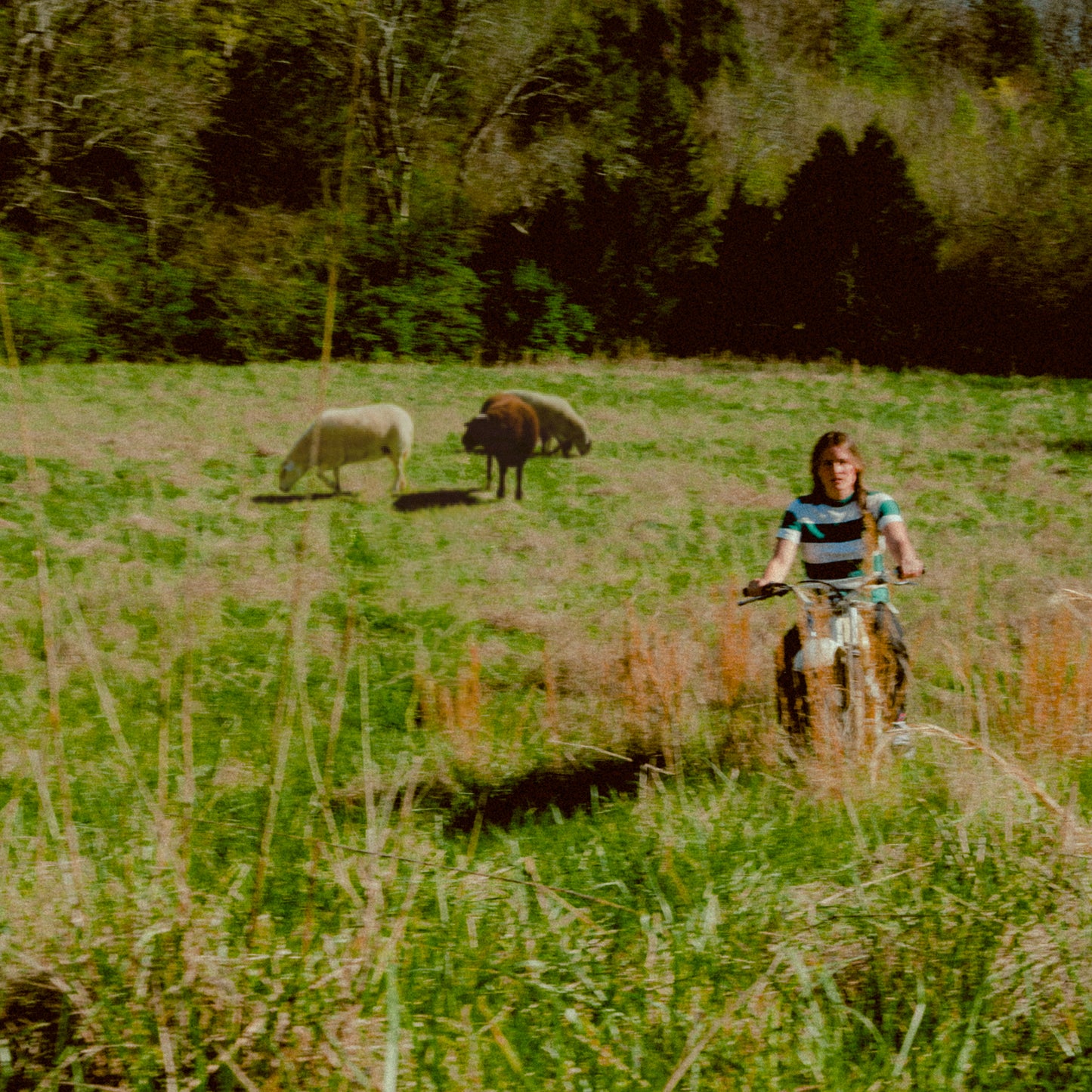 stagediver - stagediver