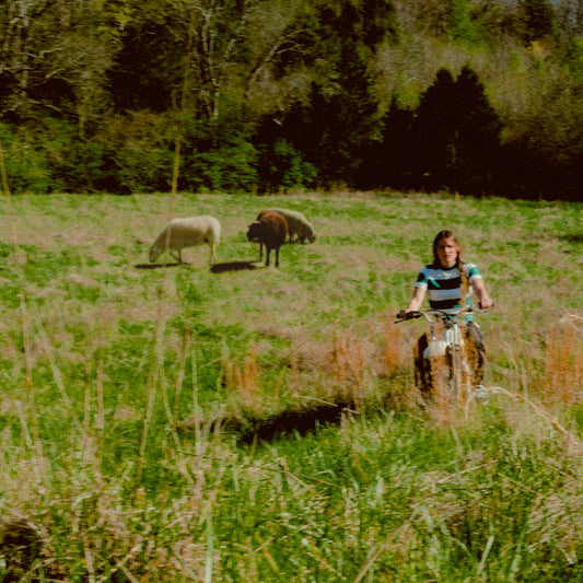 stagediver - stagediver